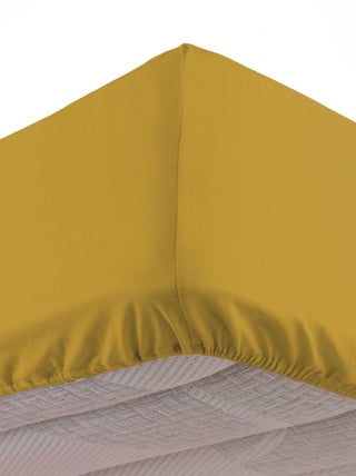 Drap housse coton lave Lanette