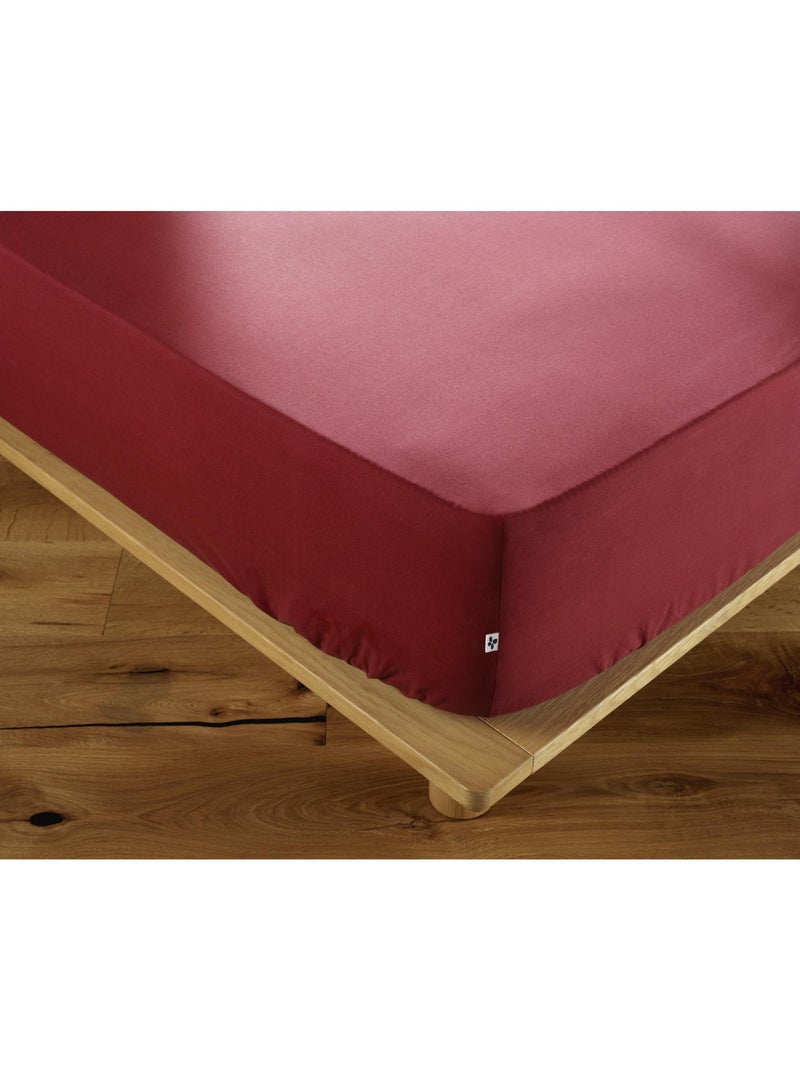 Drap housse coton luxe bonnet 30 cm Bordeaux - Kiabi