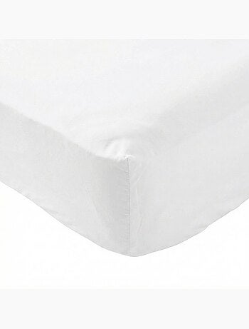 Drap housse coton percale