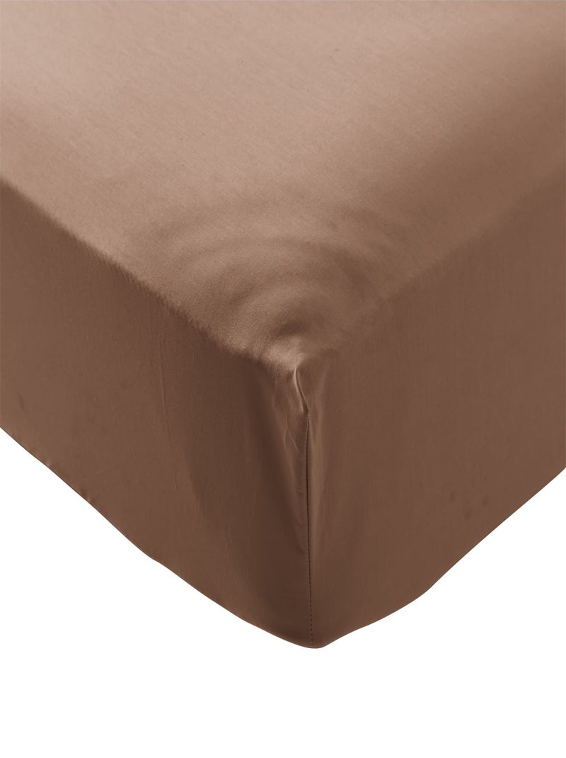 Drap housse coton percale Marron - Kiabi