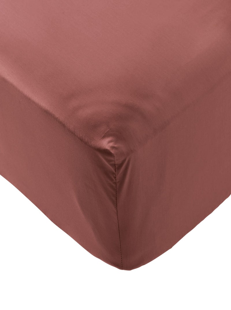 Drap housse coton percale Rose - Kiabi