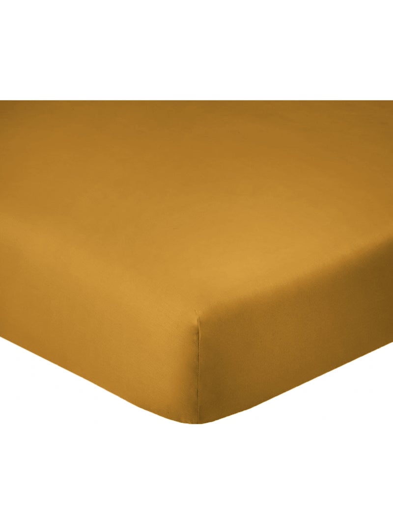 Drap housse coton uni 140 x 190 cm Passion safran Safran - Kiabi