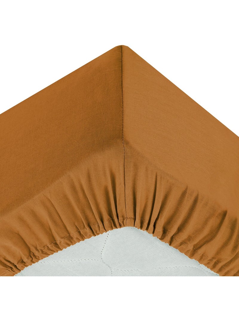 Drap housse coton uni 160 x 200 cm couleur moderne cumin Rouge - Kiabi