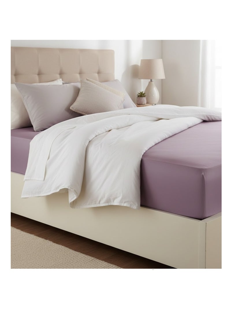 Drap housse en coton 57 fils Lilas Violet - Kiabi