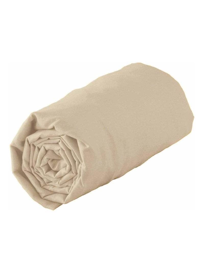Drap housse en coton 57 fils Sable Beige - Kiabi