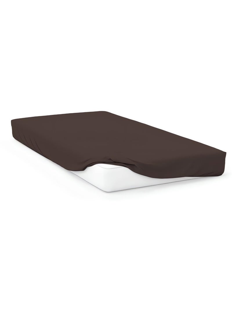 Drap housse en coton 57 fils UNI, par Soleil d'ocre Marron - Kiabi