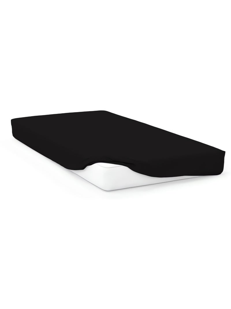 Drap housse en coton 57 fils UNI, par Soleil d'ocre Noir - Kiabi