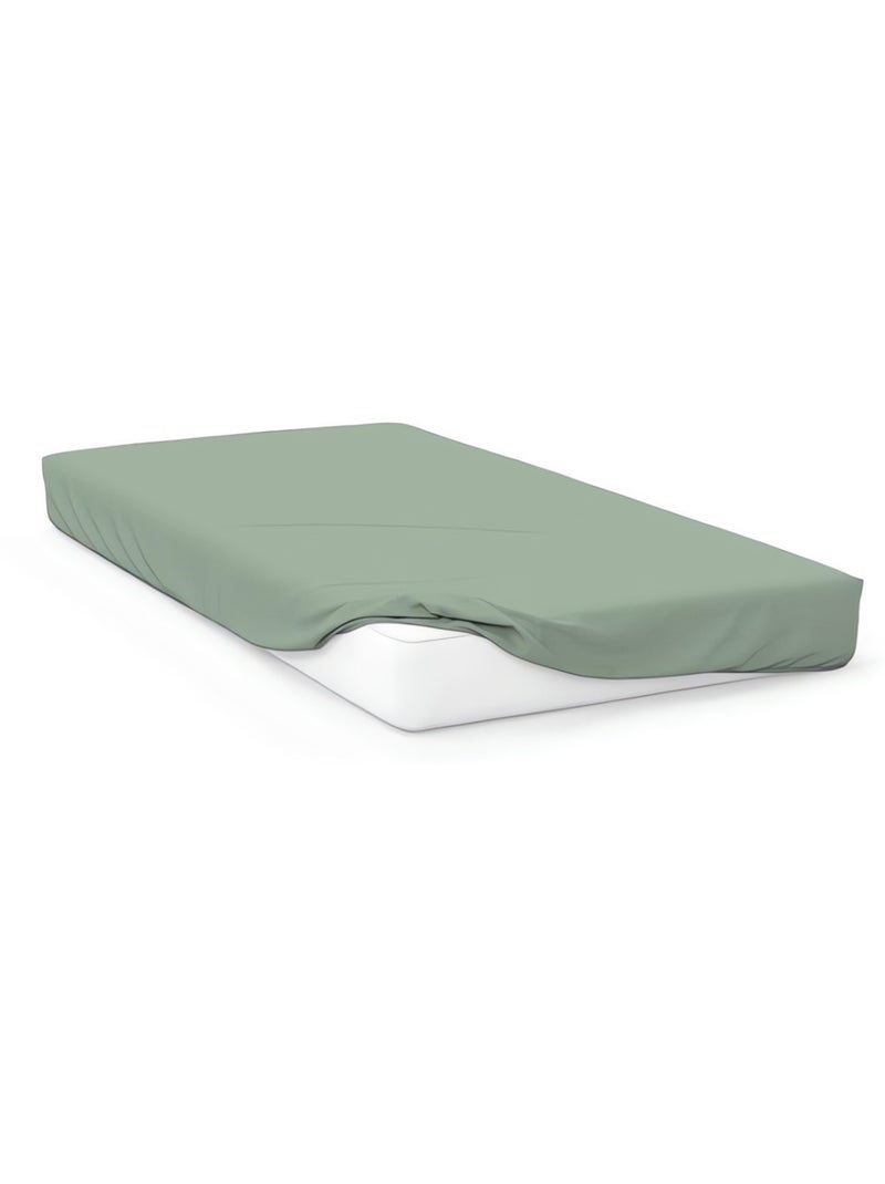 Drap housse en coton 57 fils UNI, par Soleil d'ocre Vert - Kiabi