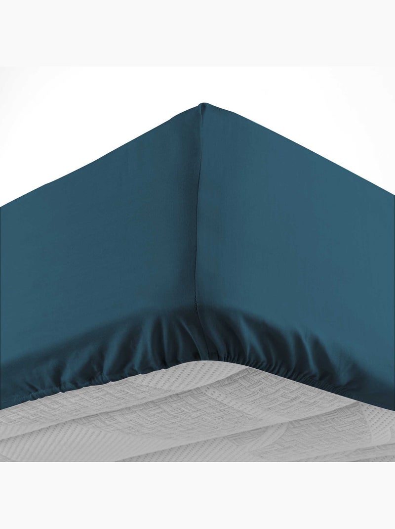 Drap housse en coton Line Bleu - Kiabi