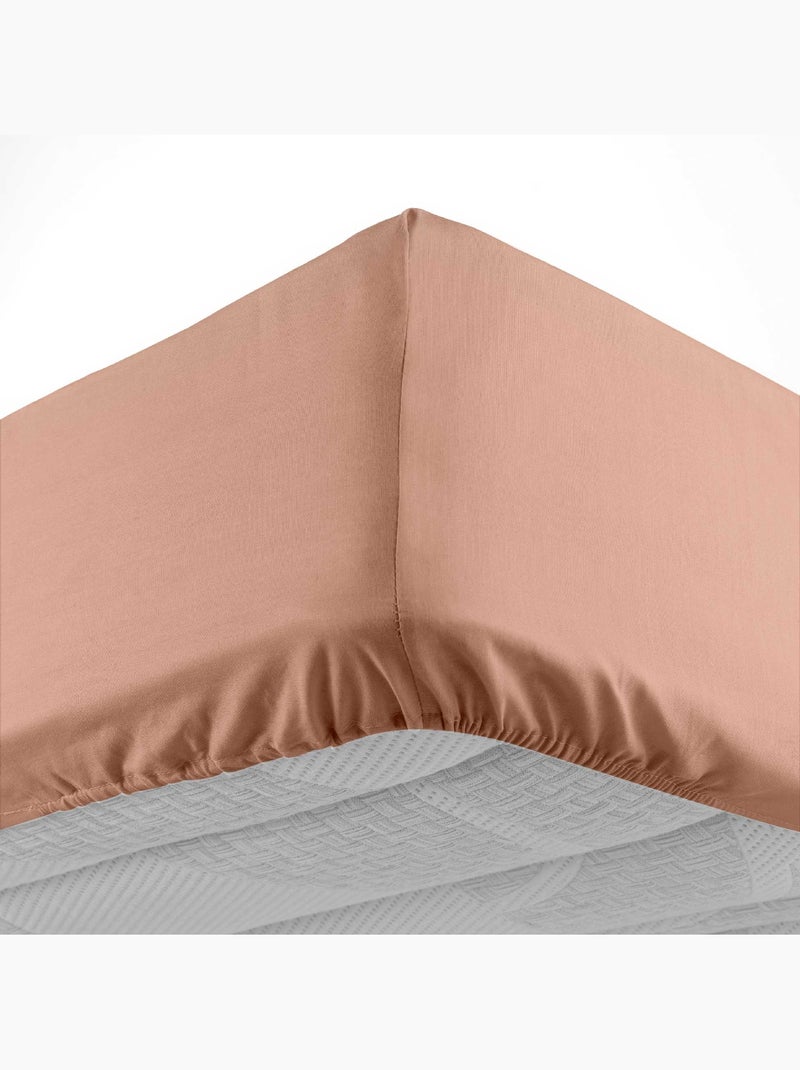 Drap housse en coton line Blush - Kiabi