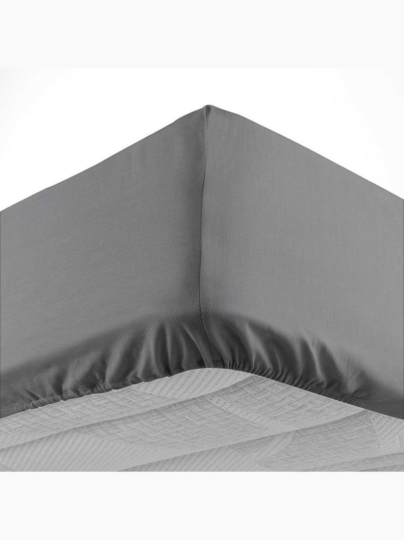 Drap housse en coton Line gris anthracite - Kiabi