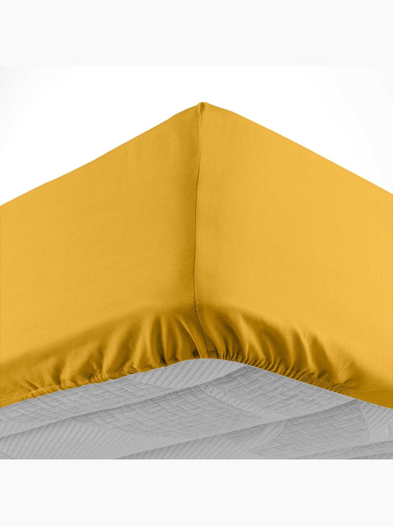 Drap housse en coton Line Jaune - Kiabi