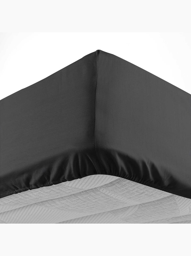 Drap housse en coton Line Noir - Kiabi