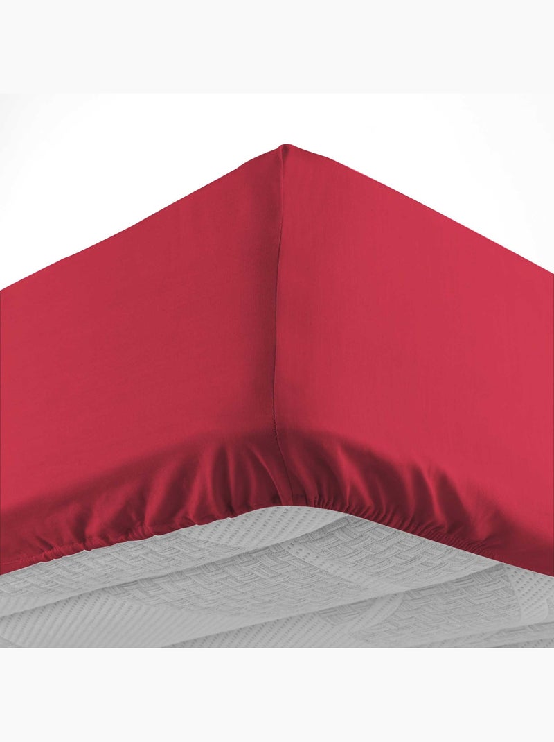 Drap housse en coton Line Rouge Marsala - Kiabi