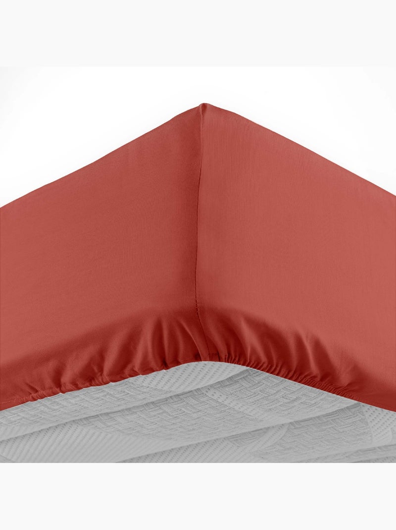 Drap housse en coton Line Terracotta - Kiabi