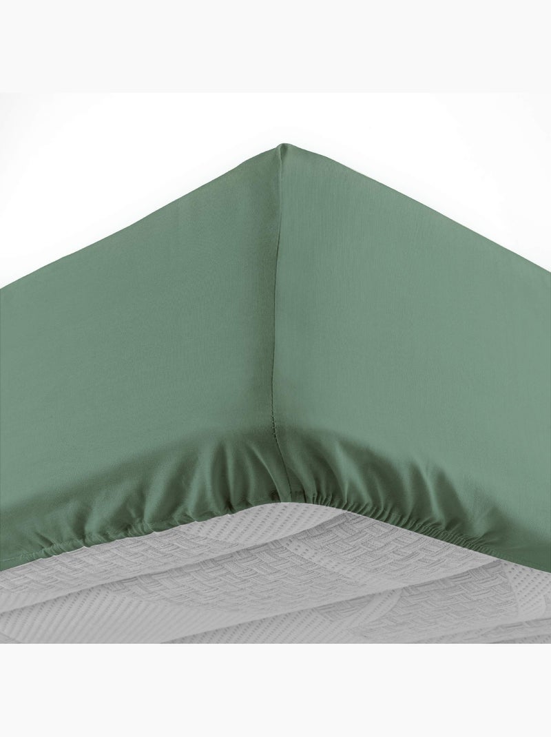 Drap housse en coton Line Vert cèdre - Kiabi