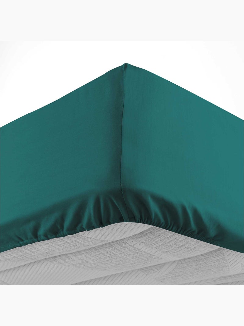 Drap housse en coton Line Vert émeraude - Kiabi