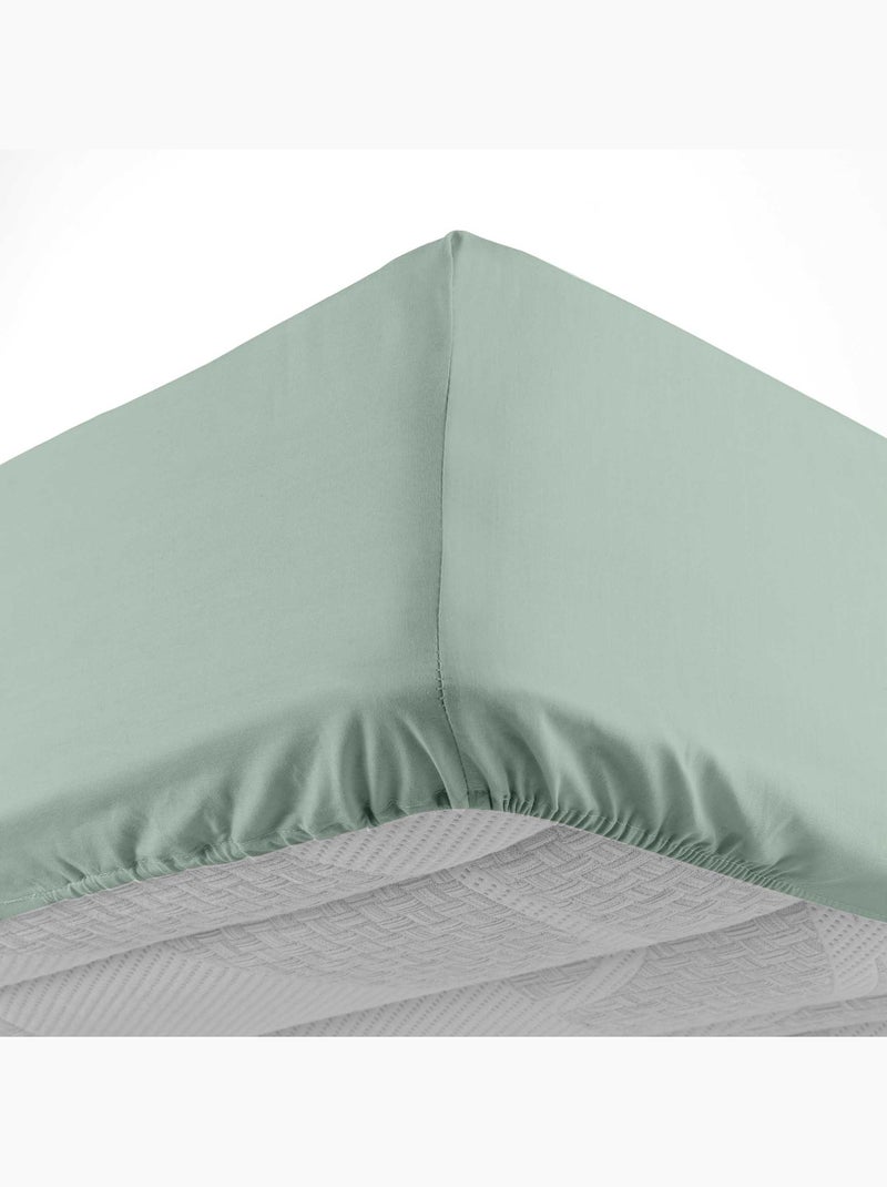 Drap housse en coton Line Vert Sauge - Kiabi