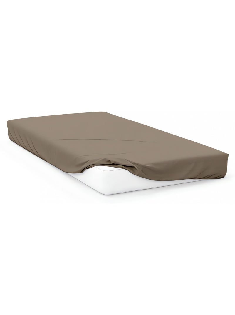 Drap housse en coton uni 57 Fils/cm2 par SOLEIL D'OCRE Taupe - Kiabi