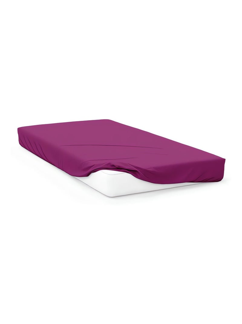Drap housse en coton uni 57 Fils/cm2 par SOLEIL D'OCRE Violet - Kiabi