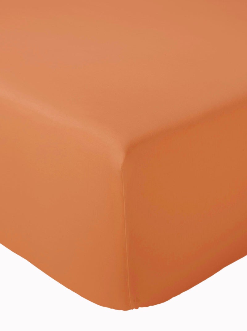 Drap housse en percale de coton uni PASSION PERCALE Bonnet de 30 cm Cognac - Kiabi