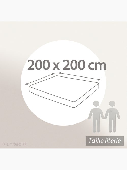 Drap housse en percale de coton uni PASSION PERCALE Bonnet de 30 cm - Kiabi