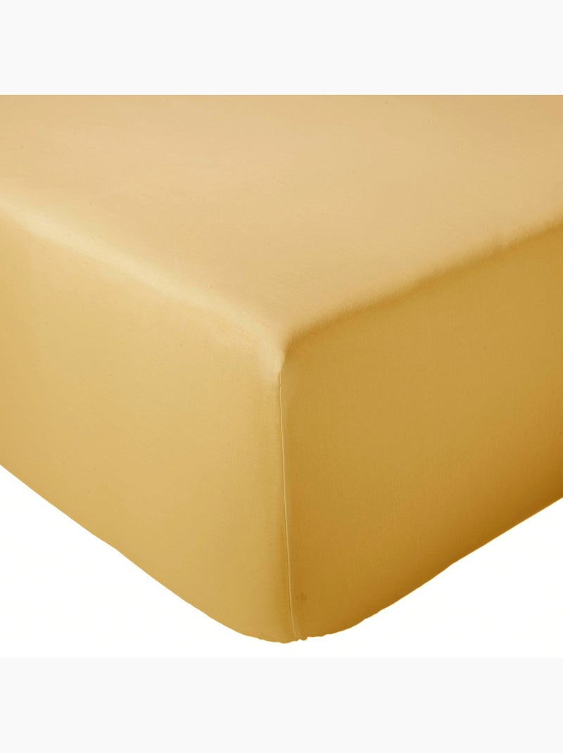Drap housse en percale de coton uni PASSION PERCALE Bonnet de 30 cm Jaune or - Kiabi