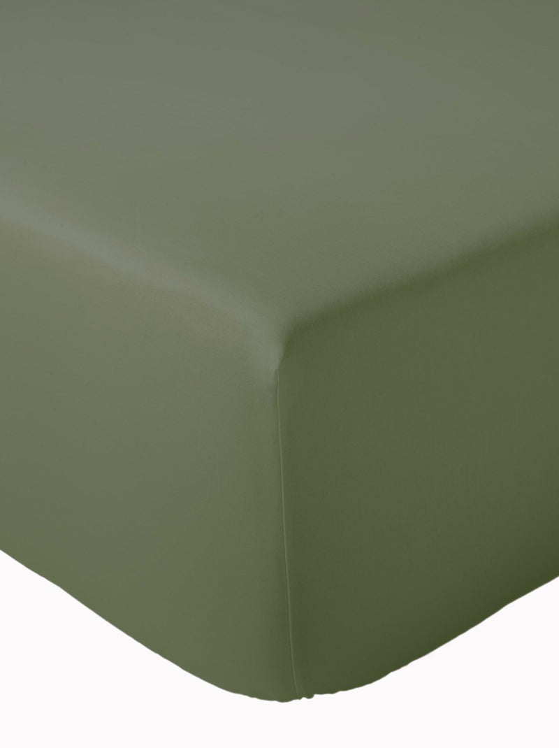 Drap housse en percale de coton uni PASSION PERCALE Bonnet de 30 cm Kaki - Kiabi