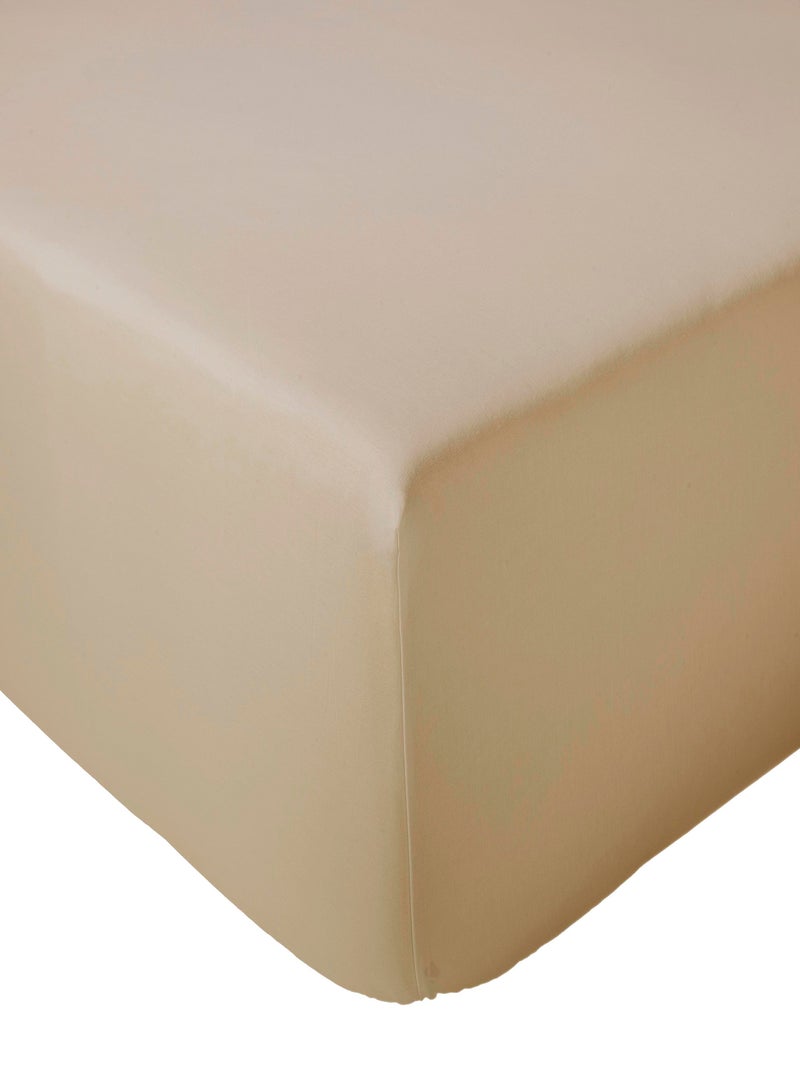 Drap housse en percale de coton uni PASSION PERCALE Bonnet de 30 cm Marron glacé - Kiabi