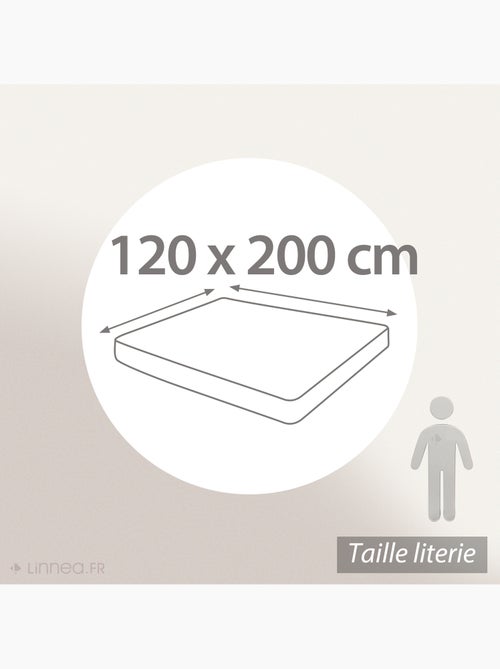 Drap housse en percale de coton uni PASSION PERCALE Bonnet de 30 cm - Kiabi