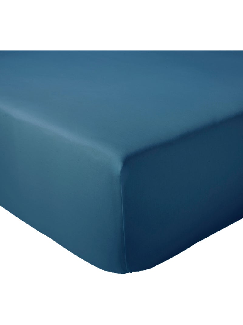 Drap housse en percale de coton uni PASSION PERCALE Bonnet de 40 cm Bleu cobalt - Kiabi