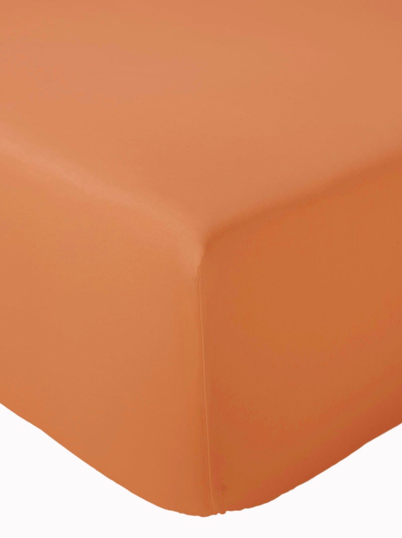Drap housse en percale de coton uni PASSION PERCALE Bonnet de 40 cm Cognac - Kiabi