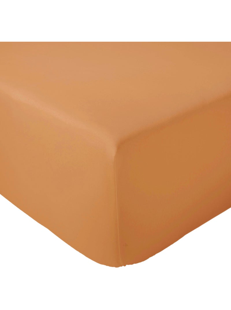 Drap housse en percale de coton uni PASSION PERCALE Bonnet de 40 cm Cognac - Kiabi