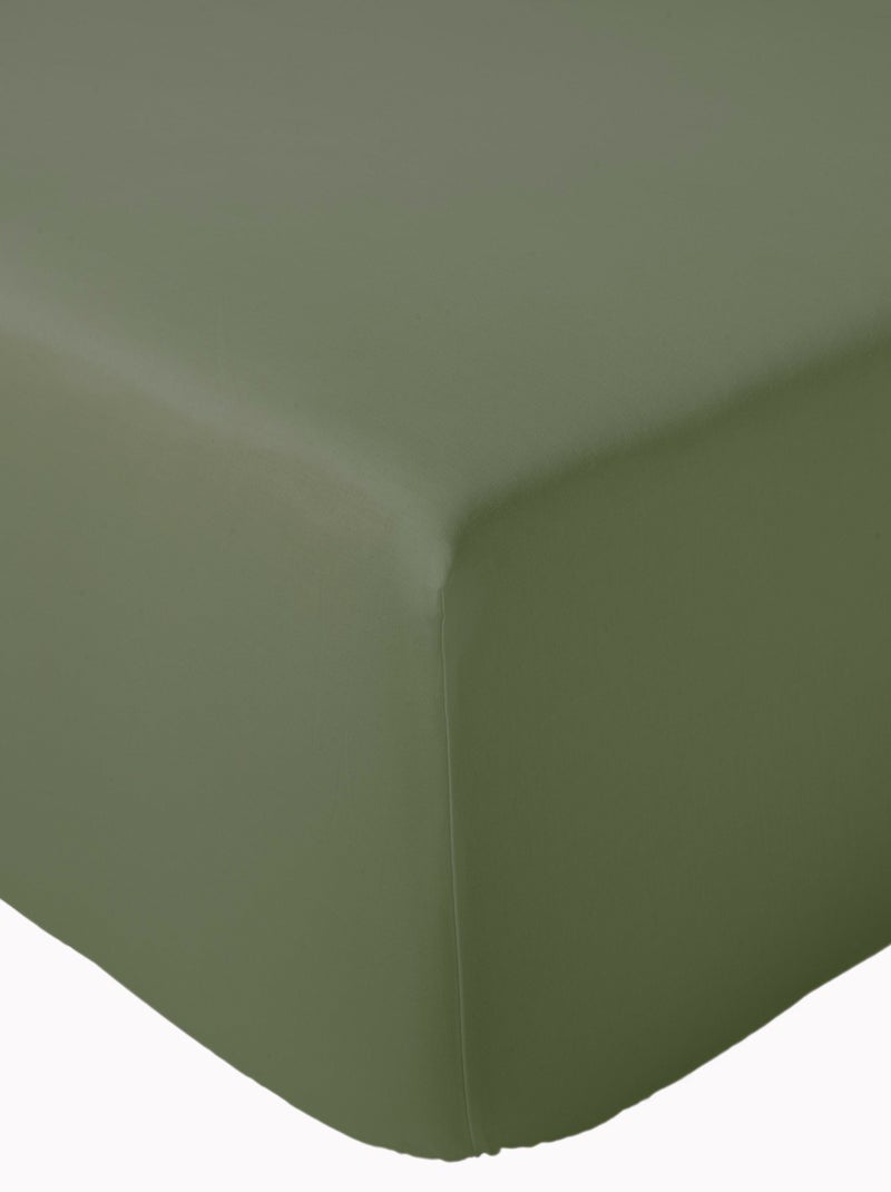 Drap housse en percale de coton uni PASSION PERCALE Bonnet de 40 cm Kaki - Kiabi