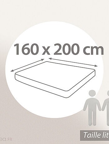 Drap housse en percale de coton uni PASSION PERCALE Bonnet de 40 cm