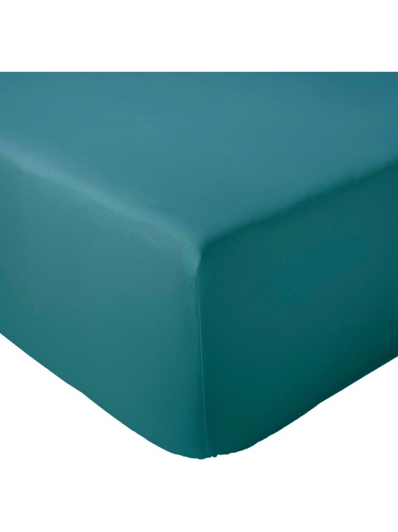 Drap housse en percale de coton uni PASSION PERCALE Bonnet de 40 cm Vert émeraude - Kiabi