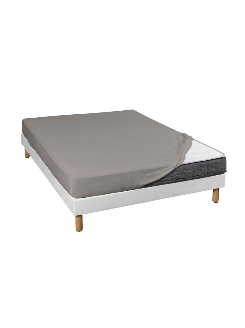 Drap housse extensible jersey lycra tencel Beige - Kiabi