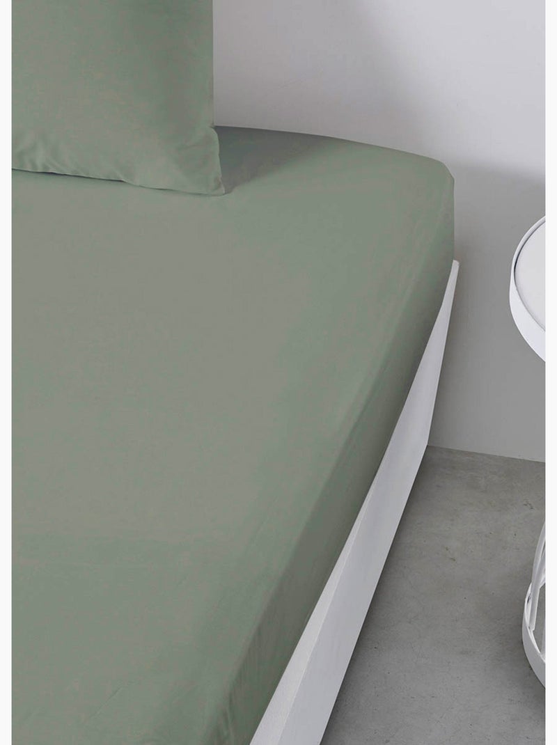 Drap housse grand bonnet 2 personnes uni coton PRESTIGE Vert - Kiabi