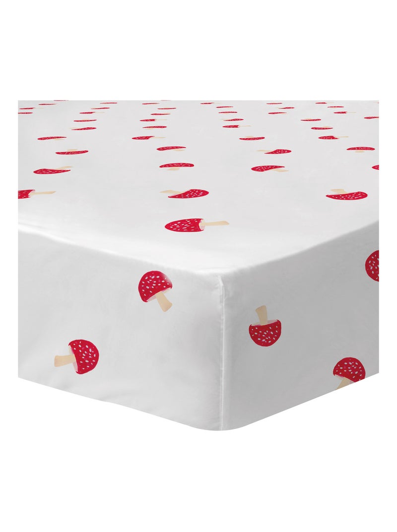 Drap-housse imprimé 100% coton, WEE BLUE BELL FAUNE ET FLORE JARDIN SECRET Blanc - Kiabi