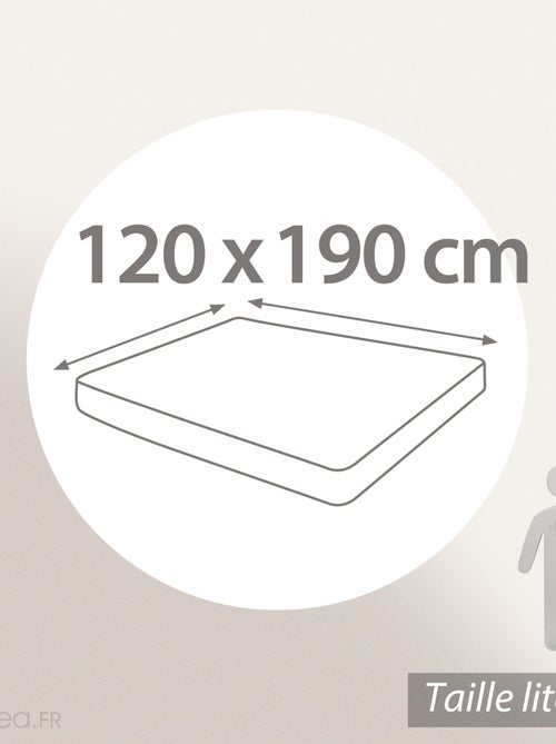 Drap housse imprimé coton PERROQUET Bonnet de 23 cm - Kiabi Drap housse imprimé coton PERROQUET Bonnet de 23 cm - Kiabi