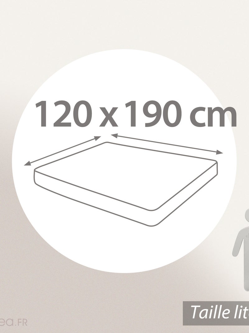 Drap housse imprimé coton PERROQUET Bonnet de 23 cm Multicolore - Kiabi