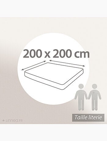 Drap housse imprimé coton PERROQUET Bonnet de 40 cm