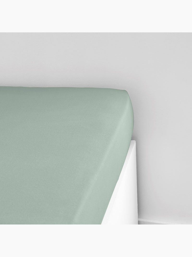 Drap housse Jersey 2 personnes uni ESSENTIAL Vert - Kiabi