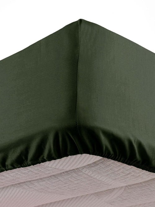 Drap housse Microfibre Oscar Douceur d'Intérieur - Kiabi