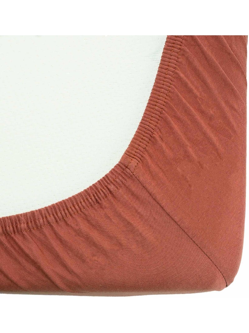 Drap Housse Oeko-tex® Standard 100 Terracotta - Kiabi