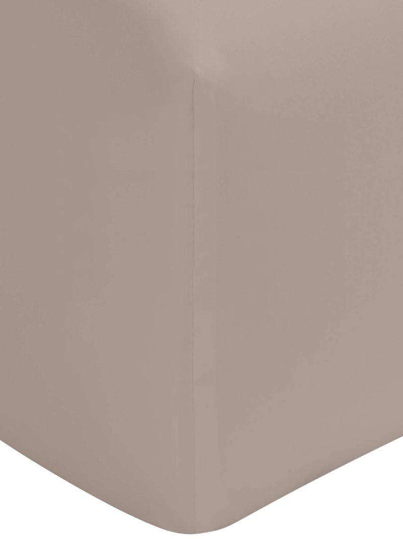 Drap housse percale bonnet 40 made in France Beige - Kiabi