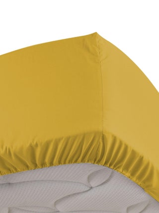 Drap housse Percale Coton Percalines