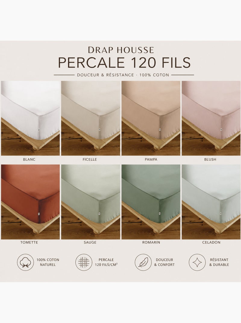 Drap-Housse Percale de Coton 120 Fils Unie PERRINE Kaki - Kiabi