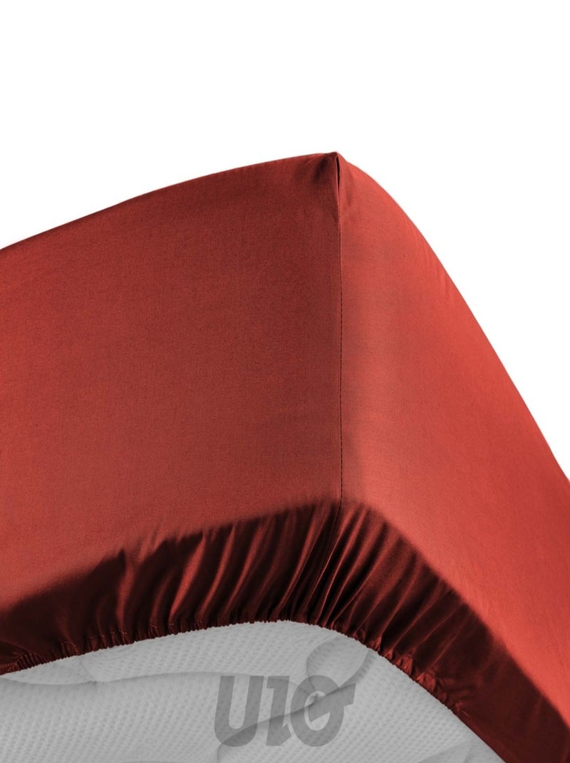 Drap housse Percale de Coton 78fils percale Douceur d'Intérieur Rouge - Kiabi