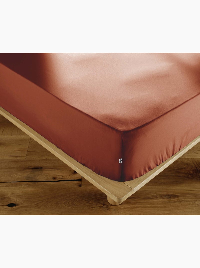 Drap housse percale de coton perrine Terracotta - Kiabi